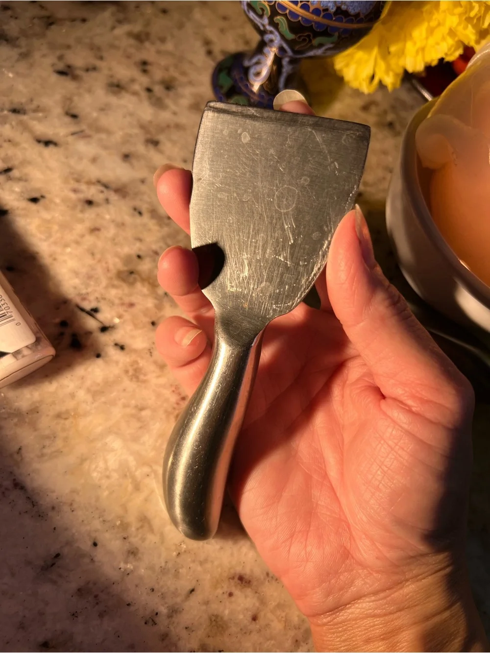 Stainless Steel Cheese Knife and Spreader Set of two